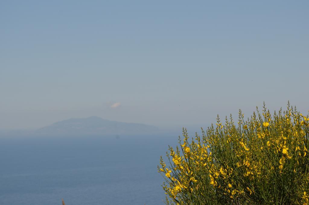 Le Ginestre Di Capri Bb & Holiday House Anacapri  Exterior photo