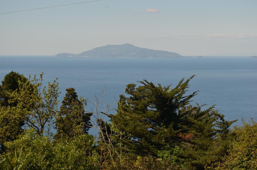 Le Ginestre Di Capri Bb & Holiday House Anacapri  Exterior photo